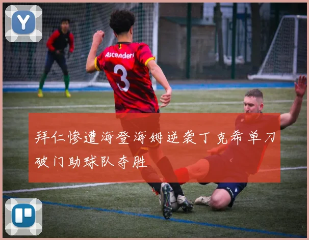 拜仁惨遭海登海姆逆袭丁克希单刀破门助球队夺胜